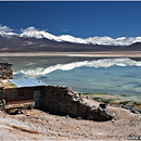 Laguna Blanca y Verde, Altiplano, Bolivia
