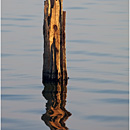 Eroded Teak Wood column, U Bein Bridge, Myanmar