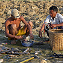 Fishermen, Taungthaman Lake, Myanmar