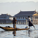 Fisher @ Inle Lake, Myanmar