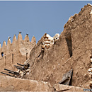 Umm Salal Fortress, Qatar