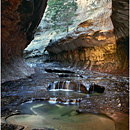 The Subway, Left Fork of North Creek, Zion National Park, Utah, USA