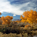 Autumn @ Zion National Park, Utah, USA