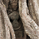 Ta Som, Angkor Wat