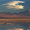 Laguna Chaxa, Atacama Desert, Chile