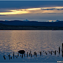 Seno Ultima Esperanza, Puerto Natales, Patagonia, Chile