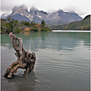Lake and Cuernos, Torres del Paine National Park, Patagonia, Chile