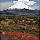 Volcán Parinacota, PN Lauca, Chile