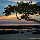 Sunset at Beach No.7, Havelock Island, Andaman