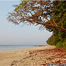 Beach No.7, Havelock Island, Andaman