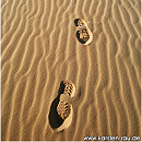 Coral Pink Sand Dunes, Utah, USA
